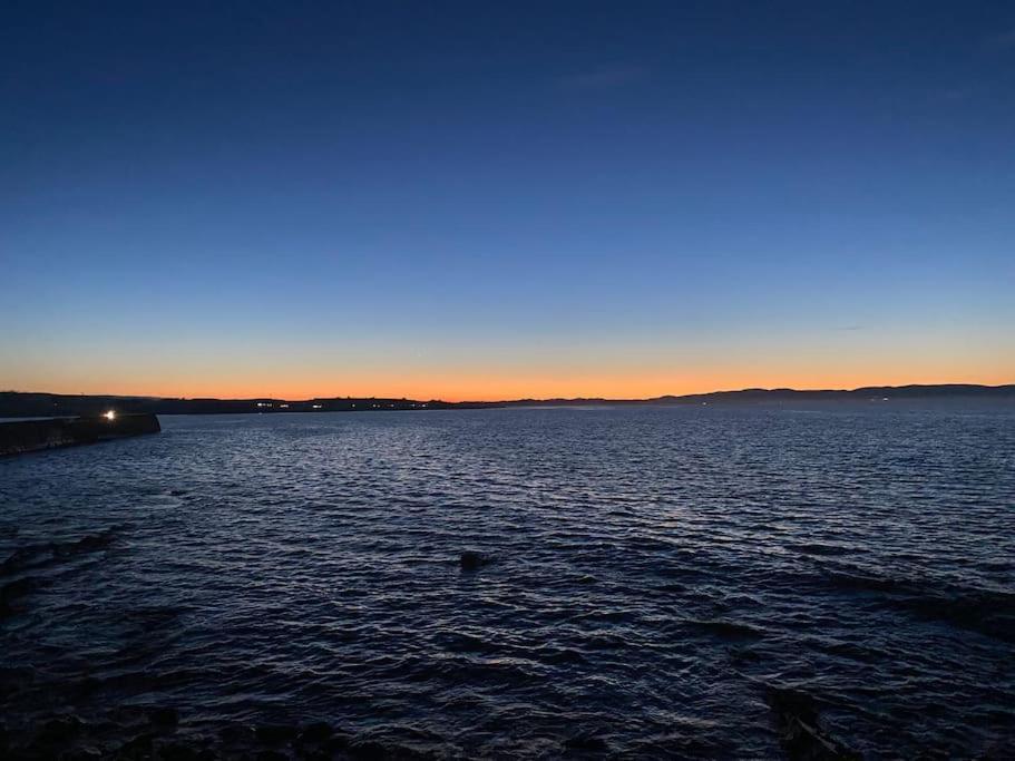 Dolphin View Cottages Portmahomack エクステリア 写真