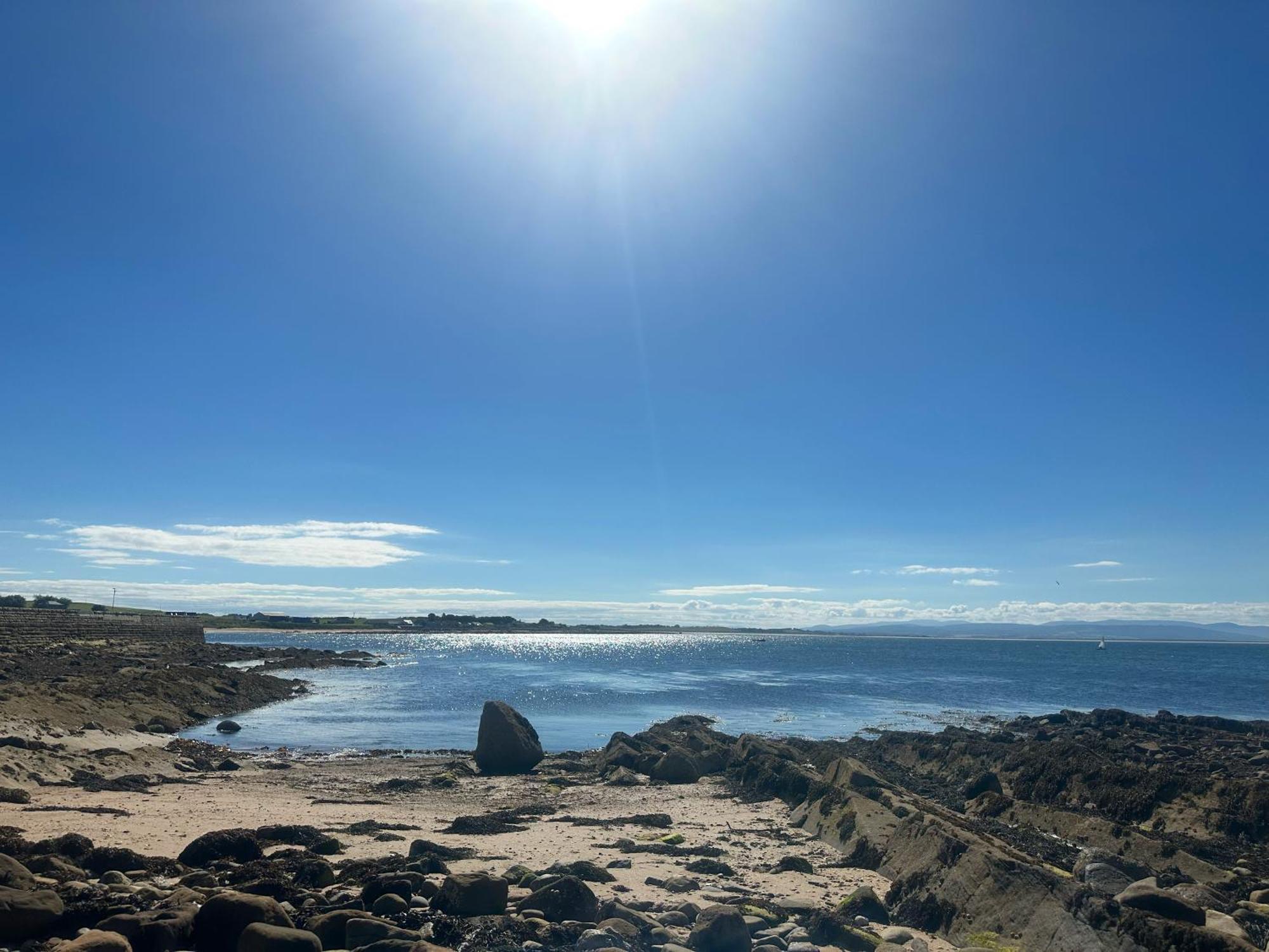 Dolphin View Cottages Portmahomack エクステリア 写真
